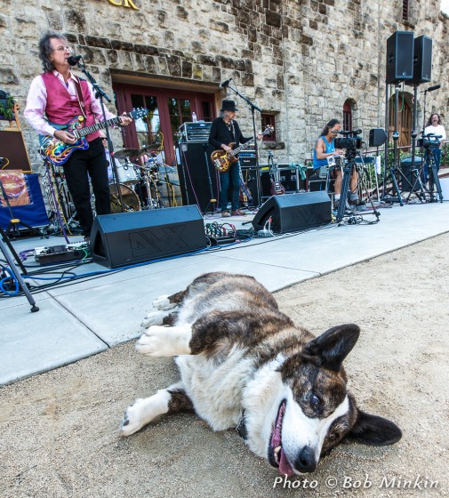 Soda Rock 6-6-14-7851<br/>Photo by: Bob Minkin